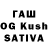 APVP VHQ Katia Ptashka