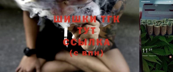 ГАЛЛЮЦИНОГЕННЫЕ ГРИБЫ Богданович