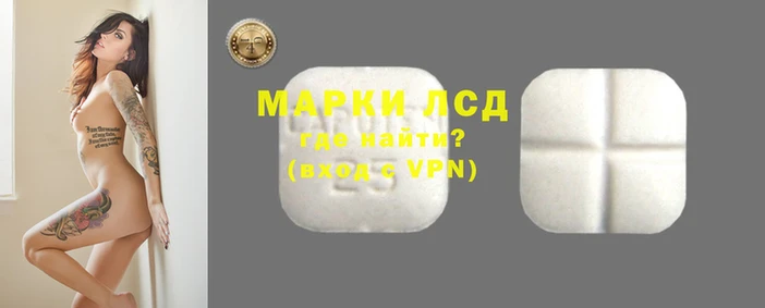 ГАЛЛЮЦИНОГЕННЫЕ ГРИБЫ Богданович