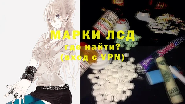 ГАЛЛЮЦИНОГЕННЫЕ ГРИБЫ Богданович